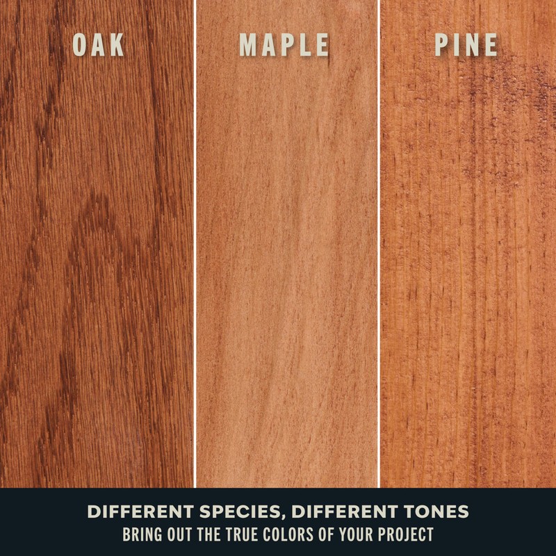 Varathane Premium Fast Dry Wood Stain Spray, 10.25 oz, Cognac,
