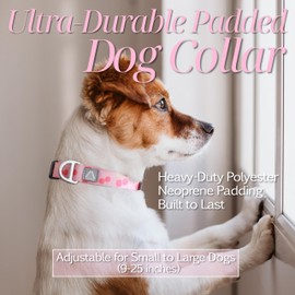 JC HOUSE Medium Dog Collar with Reflective Logo and Soft Padded Neoprene,Pink Cherry Design, Adjustable,Lightweight & Durable, Neck Size 12’’-20’’ (Cherry, M)