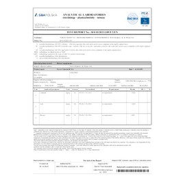 BCAA - Forest Vitamin - Pure BCAA 2:1:1 Instant - 500 g Powder - BCAA Amino Acids - Optimal Regeneration and Muscle Growth