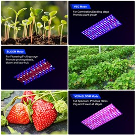 Upgraded BW1000 LED Grow Lights Double Chips Full Spectrum with 10ft Cable for Greenhouse and Indoor Plant Veg and Flower Growing [Black]
