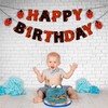 Seyal® Ladybug Happy Birthday Banner