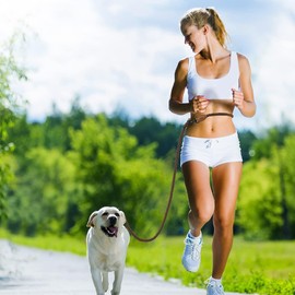 Mile High Life Hands Free Leather Tailor Handle Mountain Climbing Dog Rope 6FT Leash with Heavy Duty Metal Sturdy Clasp (Drak Brown Cotton)