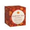 The Republic of Tea: Fall Harvest Tea Assortment Cube, 24