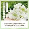 Tea Life 50 Pcs for Jasmine Tea Pots, Relaxing Tea