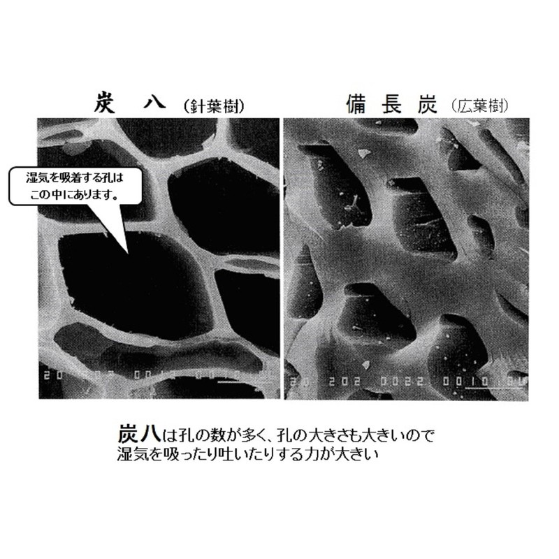 Charcoal Hachi Moisture-Controlled Charcoal Smart Small Bags, Set of 3