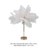 Desk Lamp Touch Sensitive, Spring Table Lamp, Modern Feather Lamp,