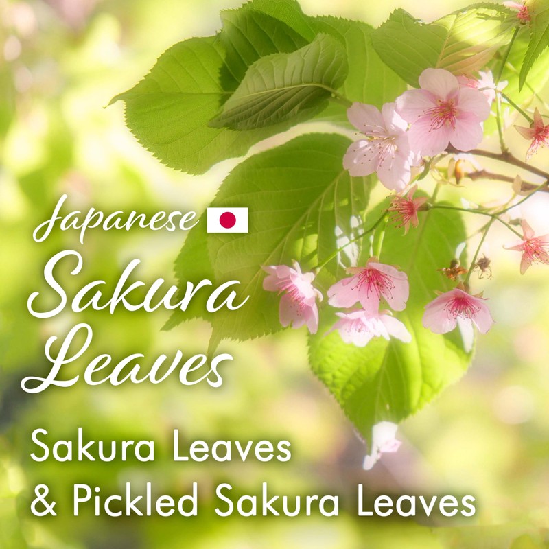YAMASAN KYOTO UJI Sakura Black Tea Loose Leaf (80g) -