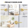 Goldenwarm 1 Pack Gold Door Handles Interior, Brushed Gold Privacy