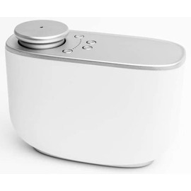 JW Marriott Rooted Room Diffuser Set - with Notes of Sycamore Wrapped in Sage Blended with Herbs, Cedarwood, Sandalwood, Sweet Tonka Bean and Amber