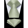 HISDERN Men's Tie Handkerchief Plain Tie & Pocket Square Set