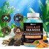 Shilajit Sea Moss Ashwagandha Gummies with Turmeric, Black Seed Oil,
