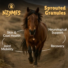 Nzymes® Sprouted Granules 2LBS (2 Pack) for Dogs, Cats, Horses, and Companion Pets. Raw Super-Food Protein and Antioxidant Nutrition. - 220 Servings - Made in The USA