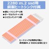 Raonlla M.2 SSD Screw Set with Copper Heat Sink, Compatible