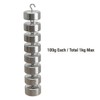 QWORK Double Hook Physics Weights Set, 10pcs 100g Metal Weights