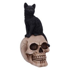 Nemesis Now Familiar Fate 24.3cm Black Witches Cat and Skull Figurine