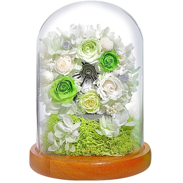 Teat Sight Preserved Flower Flower Gift Flower Present Glass Dome Ferris Wheel (3 Roses Green)