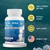 Rawleigh Cal Mag Plus Tabletas Calcio 600