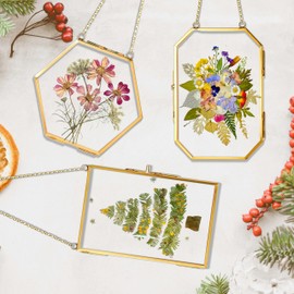 IcosaMro 3 Pack Double Glass Frame for Pressed Flowers 4"x 6" Adult Craft Kits with Brass Glass Frames & 4 Sheets Pressed Flowers, Window Hanging Wall Decor Frame for Dried Flowers Leaves Plants