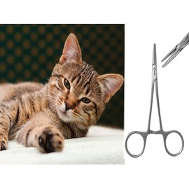 Dog Grooming Scissors clamp 14 cm serrated teeth for Pet Grooming Dog Ear Hair Puller Locking