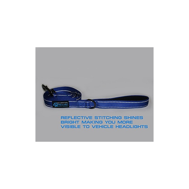 Max and Neo Reflective Nylon Dog Leash - We Donate