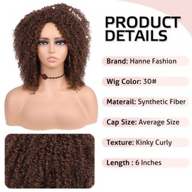 Hanne Fashion Short Kinky Curly Wigs Brown Side Part Wig Afro Curly Wig Heat Resistant Fiber Synthetic Full Wigs for Black Women (30#)
