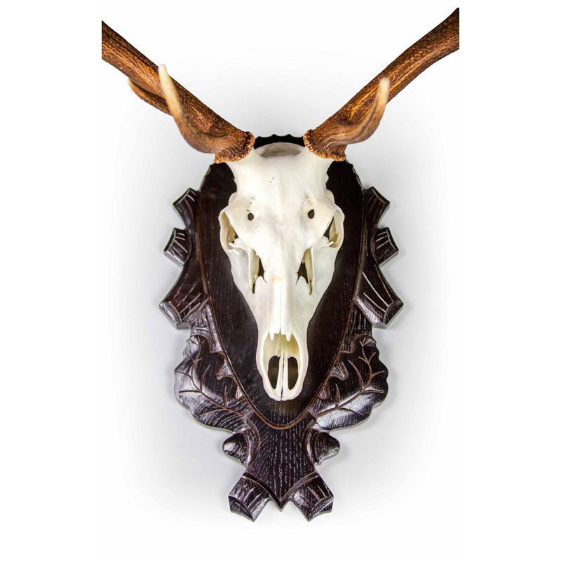 EUROHUNT 560898 Trophy Holder Silver