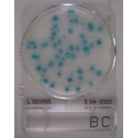 Shimazu Diagnostics Compact Dry BC 40 Sheets (For Measurement of Cereus Bacteria / 4 Sheets x 10 Bags)
