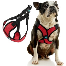 Gooby Comfort X Step in Lite Dog Harness - Choke Free, Escape Free with Light Breathable Mesh - Step in Dog Harness for Small and Medium Dogs - Quick Release Buckle, Metal D-Rings - Red, X-Large