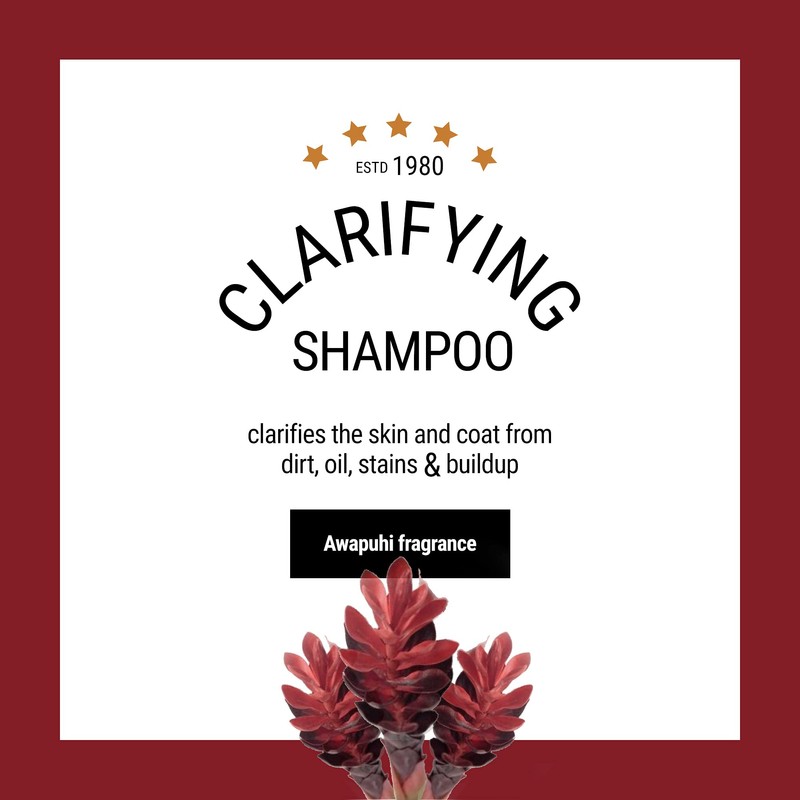 The Coat Handler Clarifying Dog Shampoo, 1 Gallon | All