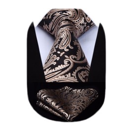HISDERN Check Paisley Wedding Party Tie Handkerchief Men's Necktie & Pocket Square Set Black/Brown