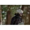 Giro Ledge FS MIPS Snow Helmet - Matte White -