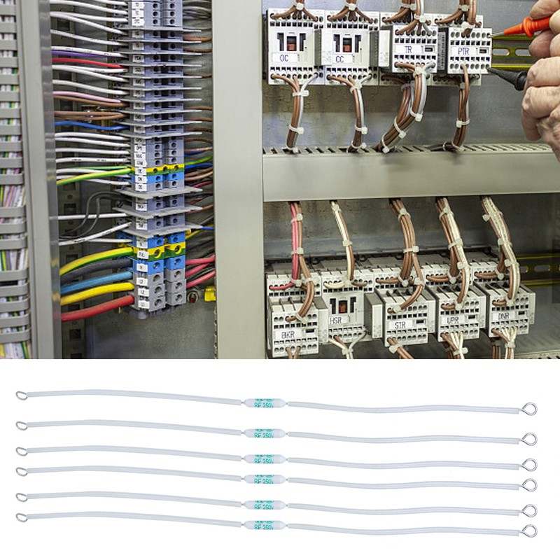 20pcs 250V 10A RF Ceramic Fuse Cut Off Temperature Thermal
