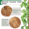 3 Pack 70 cm Moss Stick, Monstera Trellis, Plant Support