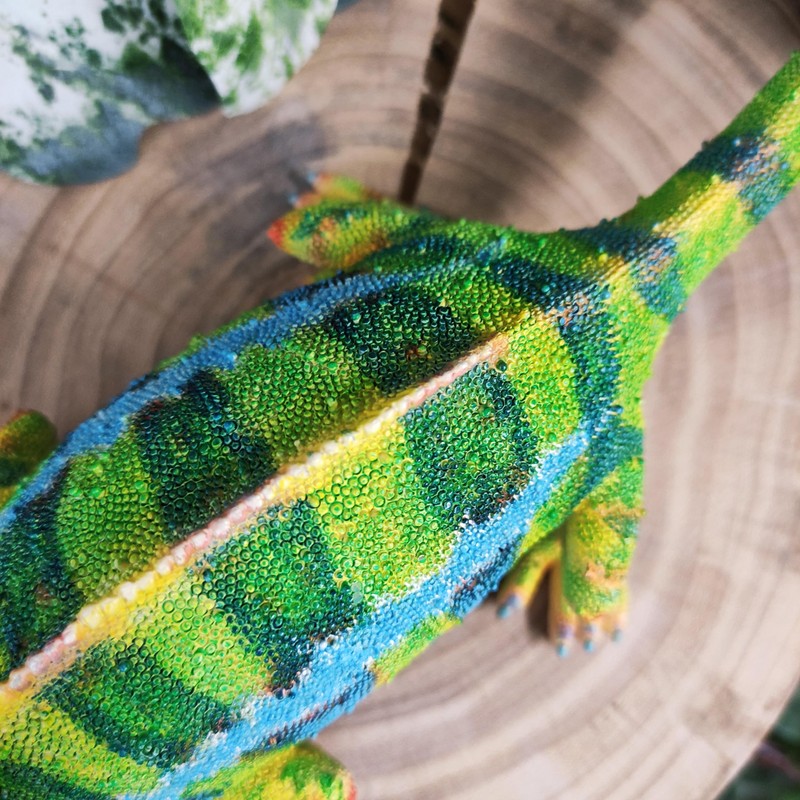Vivid Arts - Chameleon - PP-CHAM-F