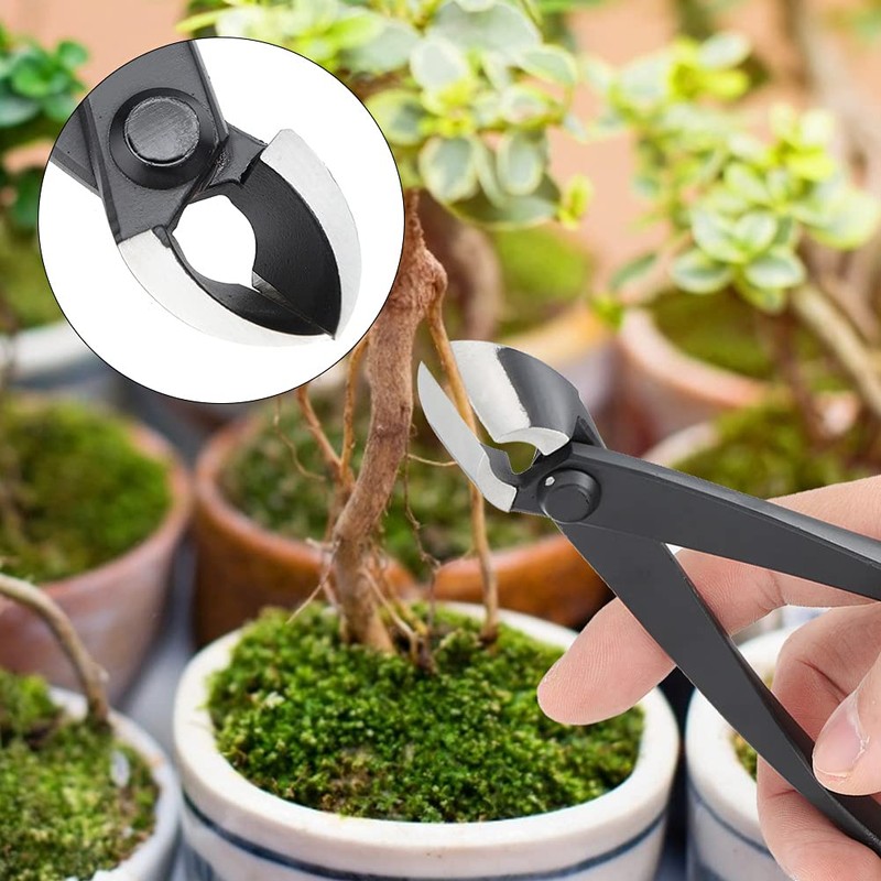 Zopsc-1 Branch Cutter, 6.4in Bonsai Tools Concave & Straight Cutter