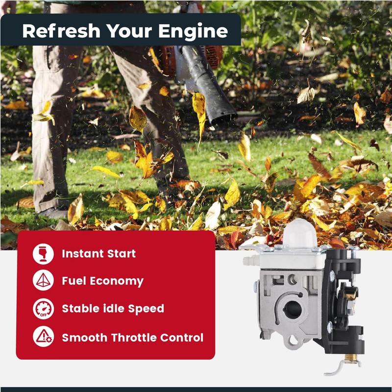 NIMTEK PB-251 Carburetor with Air Filter Spark Plug Tune up