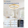ZMISHIBO Low Profile Ceiling Fans with Lights and Remote, 20