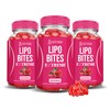 (3 Pack) Lipo Bites ACV Gummies Extreme 2000MG Formula Apple