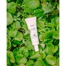 Yuanjae Collagen Eye Cream 26g / 유안재 콜라겐 아이크림 26g