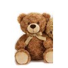 Play Eco Eco-friendly Plush Toy, Eco-Friendly, Taffy Bear in Two