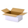 Earth Cardboard ID0242 (50) 80 Size A4 3 Sides Total