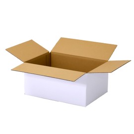 Earth Cardboard ID0242 (50) 80 Size A4 3 Sides Total 27.6 inches (70 cm) White Small Packaging