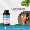 BIOHERBA Devil's Claw - 310 mg Harpagophytum Procumbens Capsules -