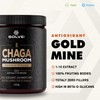 SOLVE Labs® ● Premium Siberian Chaga Extract Powder ● 10%