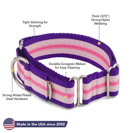 If It Barks - 1.5" Martingale Collar for Dogs - Stripe Design - Adjustable - Strong and Comfy Nylon - Ideal for Training - Made in USA - Large, Dahlia