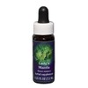 FES Flower Essences Range Of Light Quintessentials 7.5ml J to