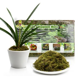 Omitgoter Compressed Sphagnum Moss for Plants & Reptiles (1pc)– Dried Peat Moss, Moisture-Retentive for Indoor Plants, Orchids, Terrariums, Reptile Bedding (100% Natural, Reptile-Safe