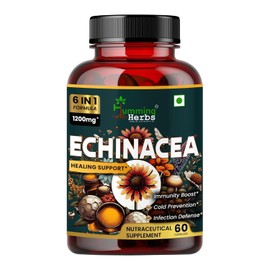 Humming Herbs Echinacea 1200Mg Elderberr,Bee Propolis & Selenium-Complex Cold Prevention,& 6 in 1 Formula 60 Capsules Non GMO