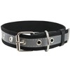 Cotton Web/Leather Reflective Dog Collar 18" Long 3/4" Wide Fits