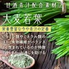 金花堂 【甘酒青汁】 乳酸菌 × 青汁 酒粕 大麦若葉 桑の葉 長命草 大豆プロテイン